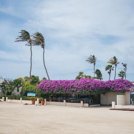 Aruba Beach Villas Palm Beach Eksteriør bilde
