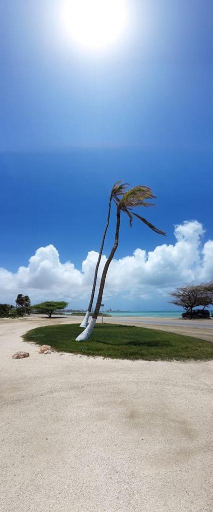 Aruba Beach Villas Palm Beach Eksteriør bilde
