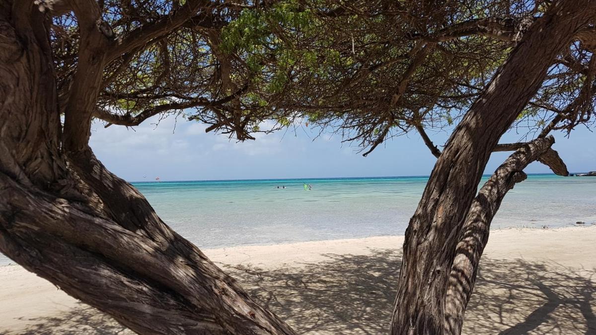 Aruba Beach Villas Palm Beach Eksteriør bilde